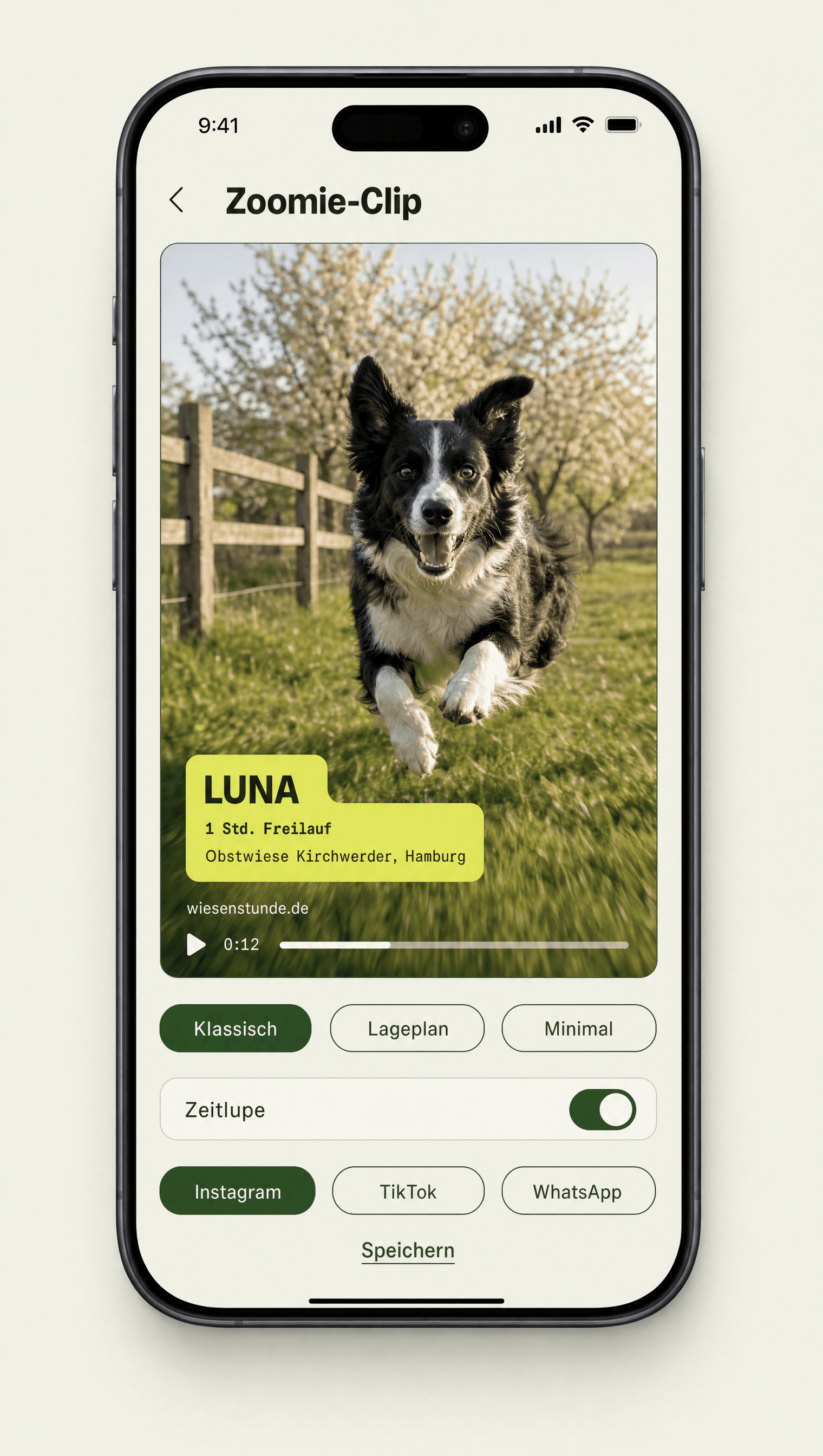 App-Screen Zoomie-Clip: Border Collie Luna rennt über die Wiese, gelber Sticker 1 Std. Freilauf, Teilen auf Instagram, TikTok oder WhatsApp